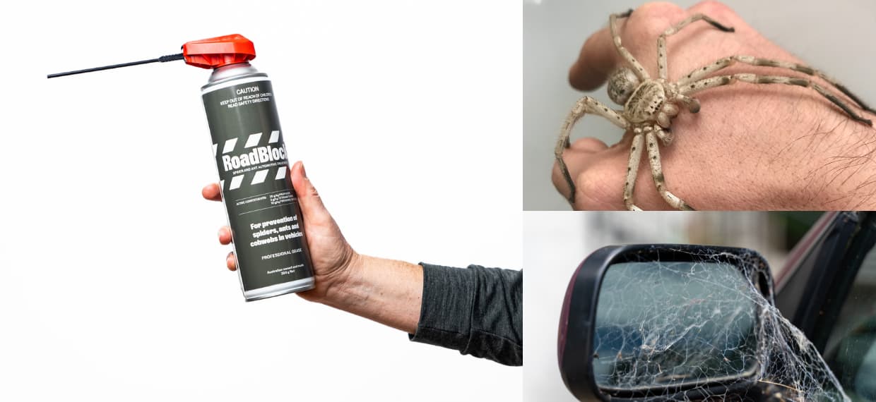 New deterrent for drivers to keep spiders away Industry Update